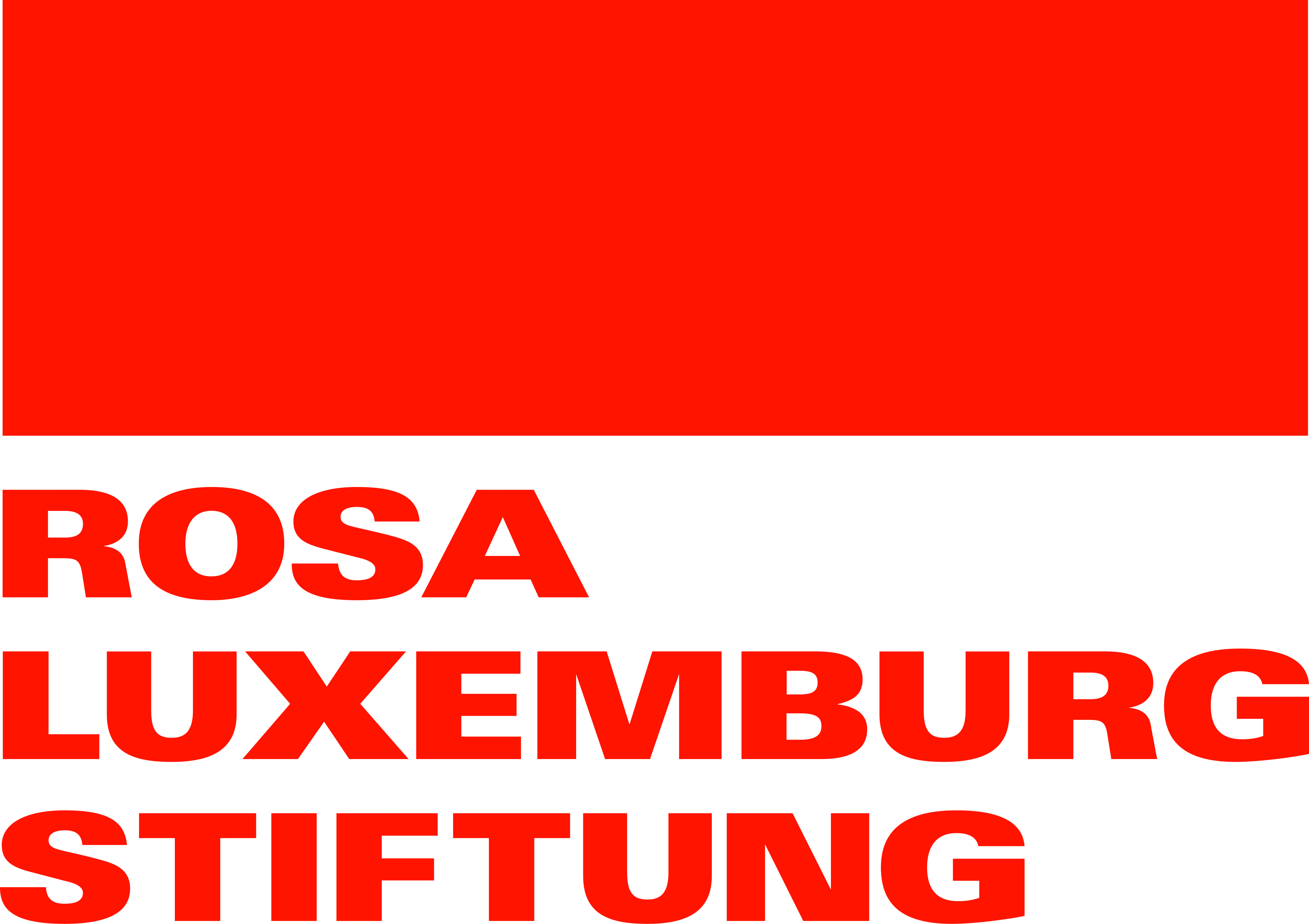 Rosa Luxemburg Stiftung Logo